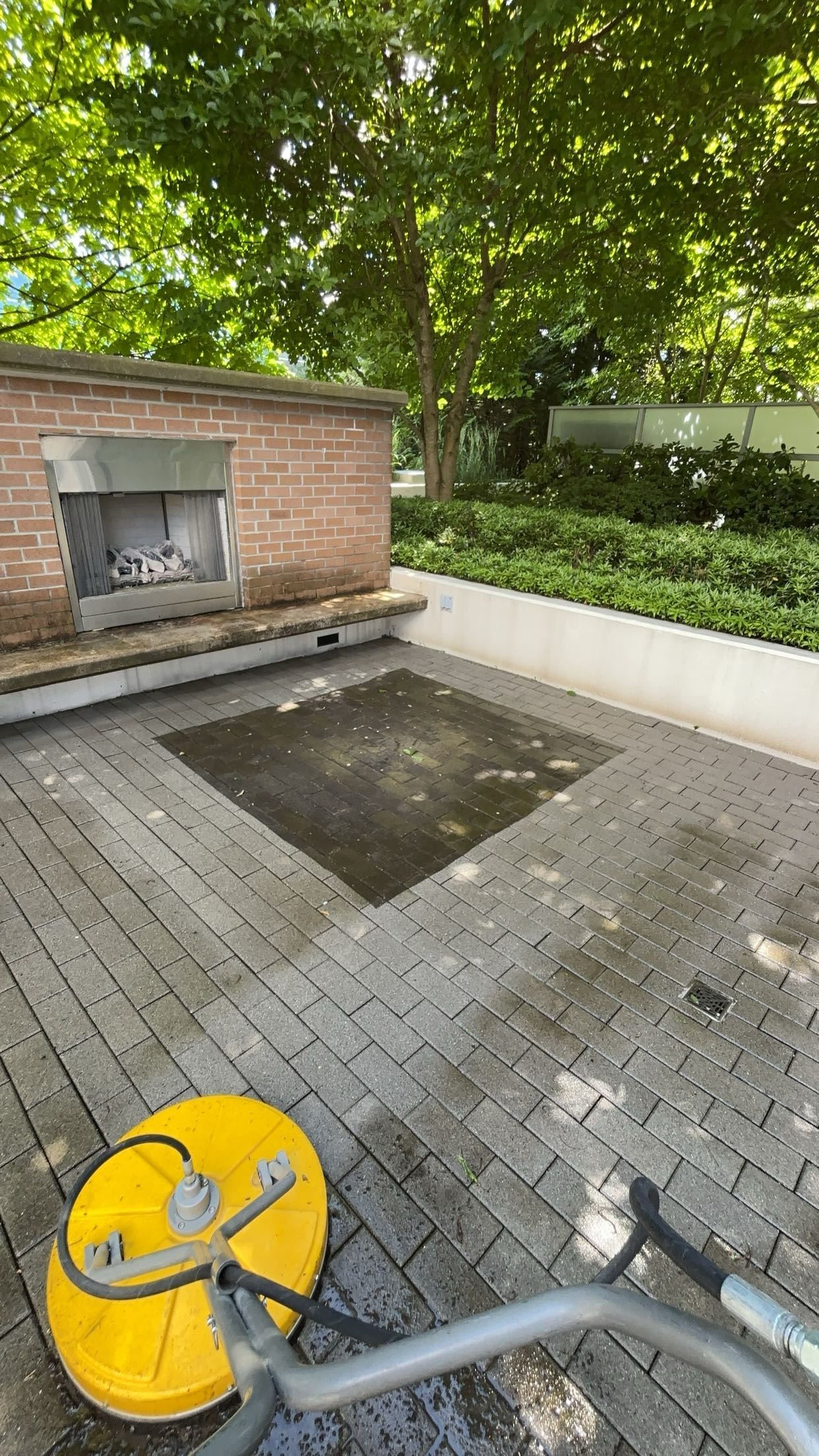 Before and after pressure washing driveway Lower Mainland BC