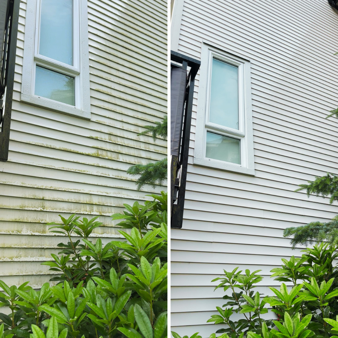 Soft washing house siding in Vancouver BC